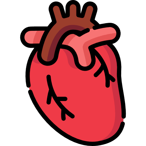 A red anatomical heart icon representing cardiology, heart health, and circulation