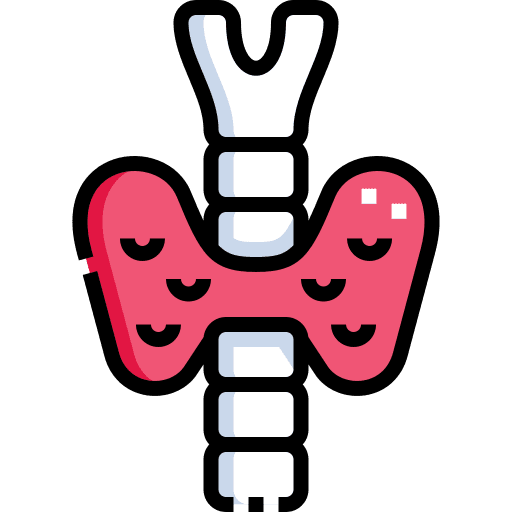 Illustration of the endocrine system, representing hormone regulation and gland functions